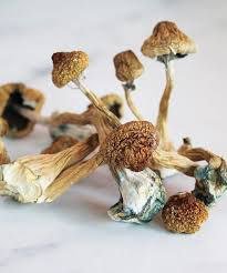 Blue Meanies
