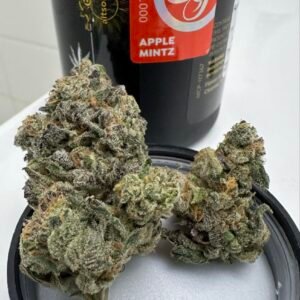 Bubblegum Gelato