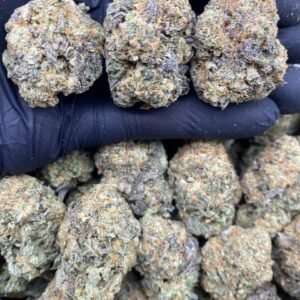 Buy Blue Gelato