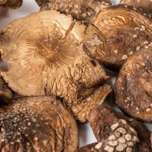 Dried Amanita Mushroom