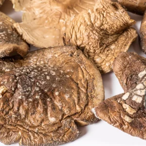 Dried Amanita Mushroom