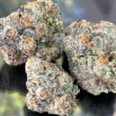 Gelato