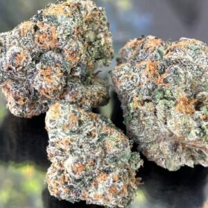 Gelato