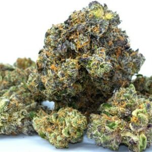 Gelato
