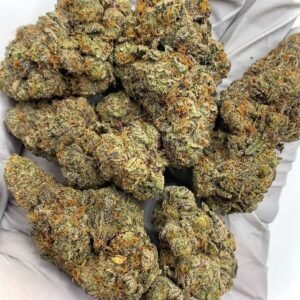 Gelato Mintz