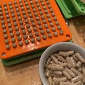 Mushroom Micro-dose Capsules