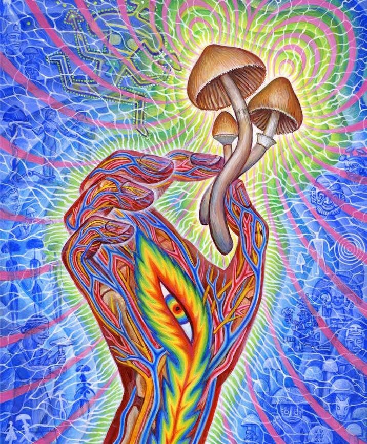 Magic Mushrooms and the secret of Spirituality