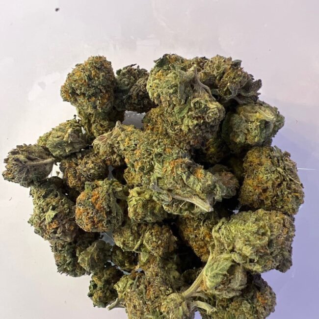 Rainbow Sherbet