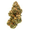 Rainbow Sherbet