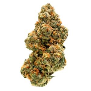 Rainbow Sherbet