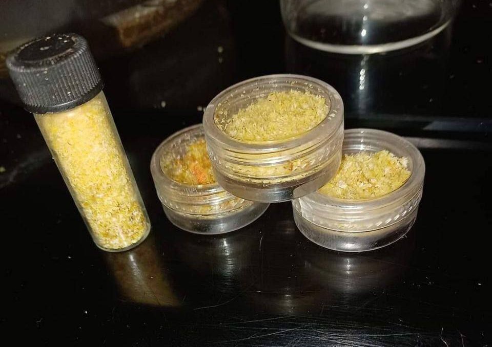 dmtcartsvapes dmtpowder
