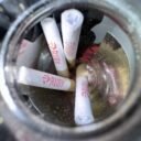 pre-roll mini rubies