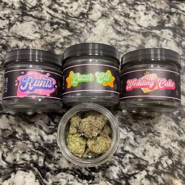 Original Exotic Blue Collar