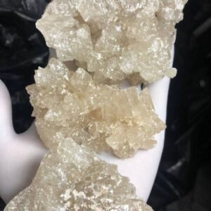 champagne MDMA